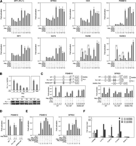 Pmlrarα Targets Promoter Regions Containing Pu1 Consensus And Rare