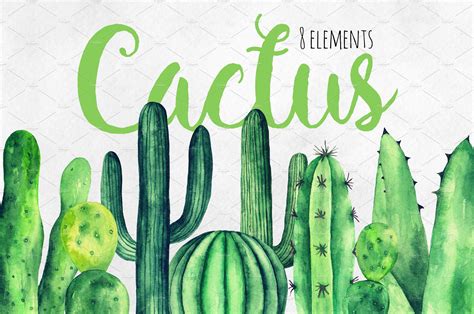 Watercolor Green Cactus Clip Art Custom Designed Illustrations