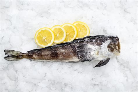 Ryby mrożone i owoce morza - sklep rybny 