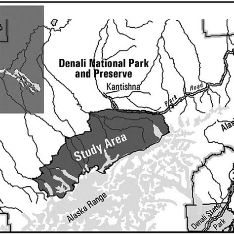 Grizzly Bear Study Area Denali National Park And Preserve Alaska