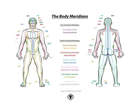 Meridian Acupuncture 12 Powerful Points You Should Know