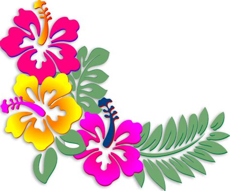 Flores Hawaianas Png Bellas Imágenes Ideales Para Educación Y