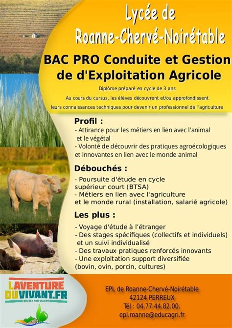 Bac Pro Conduite Gestion De Lexploitation Agricole Élevage Eplea