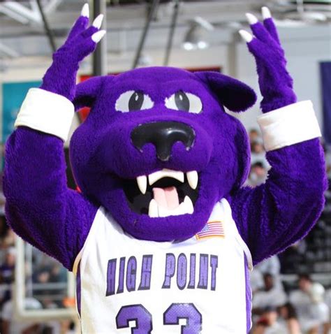High Point University Panthers Prowler The Panther Founded In 1924
