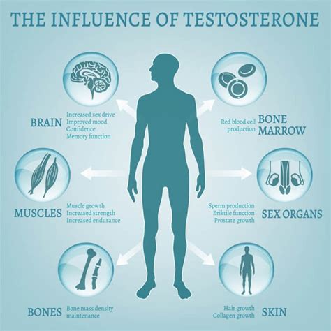 Symptoms And Remedies Of Low Testosterone Levels In Body