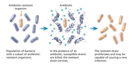 What Is Antibiotic Resistance And Why Does It Matter Mostly Science
