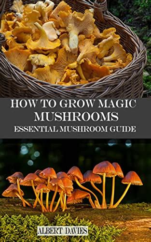 How To Grow Magic Mushrooms Essential Mushroom Guide Ebook Davies