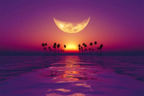 Big Moon Over Purple Sunset Stock Photo Download Image