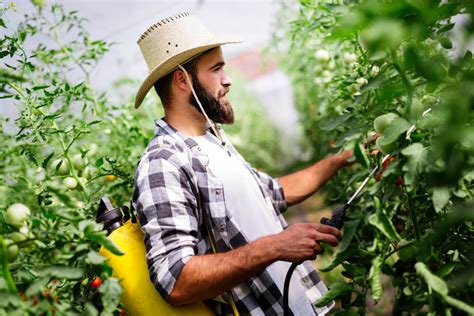 ¿cómo Tener Un Buen Control De Plagas En La Agricultura Agbar