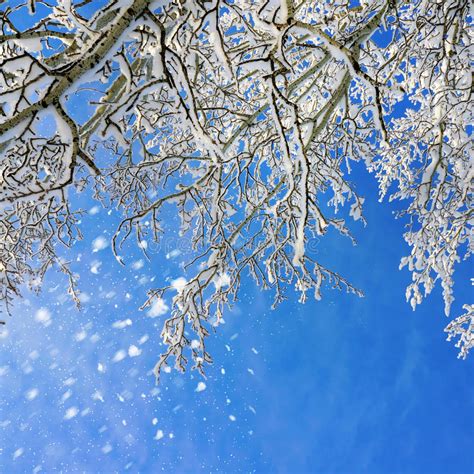 Winter Scenery Stock Photo Image Of Skies Frost Park 34291328