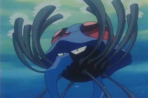 Captain Marius Tentacruel Pokémon Wiki Fandom Powered By Wikia