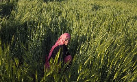 india s tribal women see little hope in election world dawn