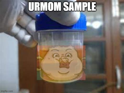 Urmom Sample Imgflip