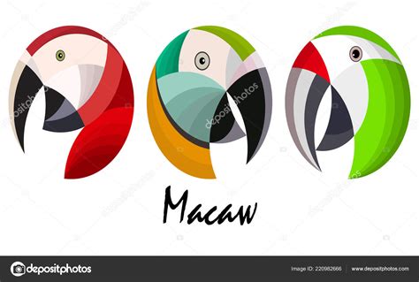 Three Colorful Macaw Parrot Heads Vector Illustration Background Stock