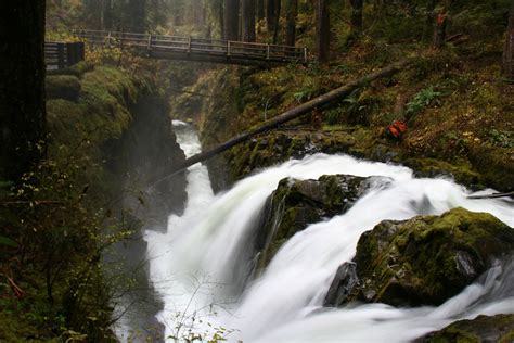 Embracing The Rain On Seven Stunning Olympic Day Hikes