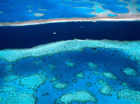 Aerial View Photography Of Great Barrier Reef Hd Wallpaper Wallpaper