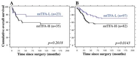 Prognostic Significance Of Mitochondrial Transcription Factor A