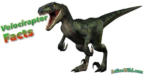 Velociraptor Facts