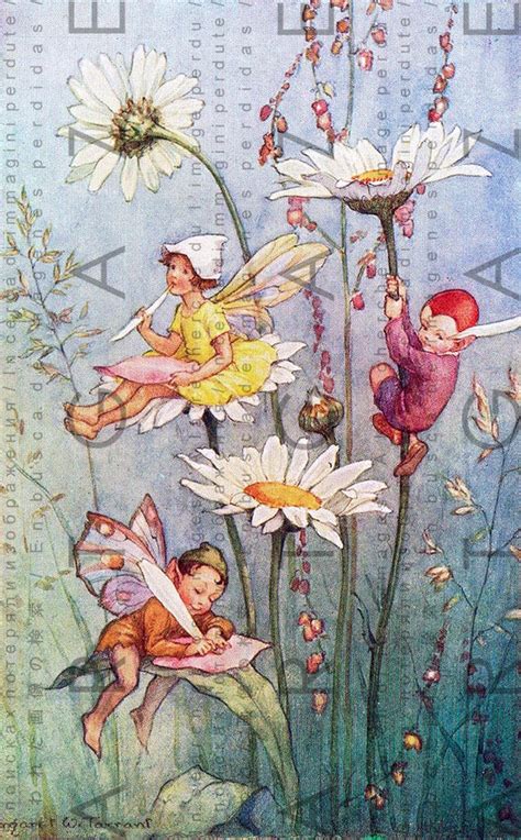 Fairies Writing On Daisy Flowers Petals Vintage Fairy Tale