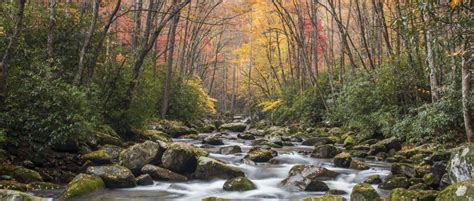 Tips For Visiting Great Smoky Mountains National Park In Nc