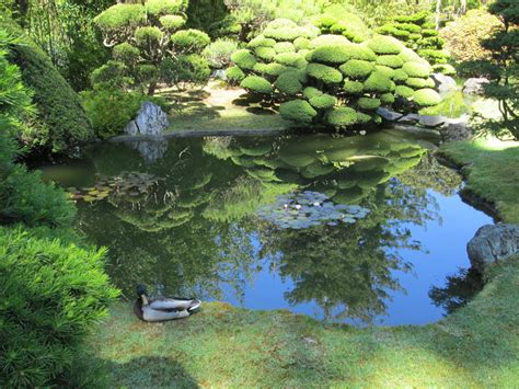 After strolling through the garden, visit the tea house. Japanese Tea Garden in San Francisco
