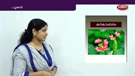 This telugu names list contains cute, modern, unique and beautiful names for boy child. Learn flowers Names in Malayalam | Pookkal | Preschool ...