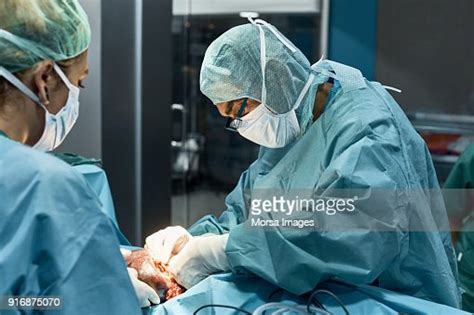 Vets Performing Spleen Removal Surgery On Dog High Res Stock Photo