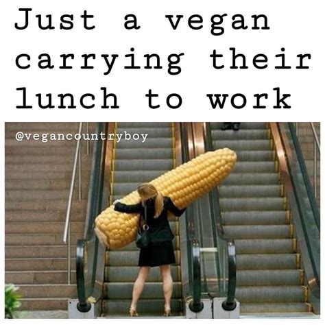 Vegan Meme Vegan Memes Vegan Memes