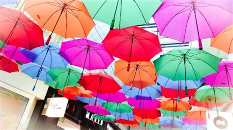 Free Images Sea Flower Wind Umbrella Colourful Color Colorful