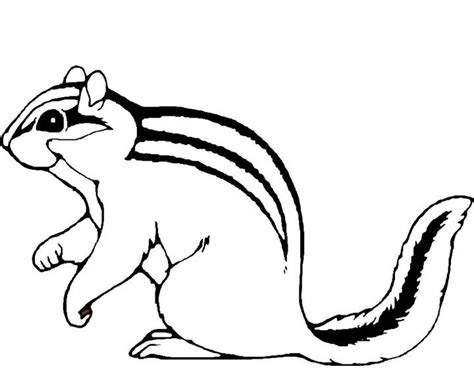 Printable Chipmunk Coloring Pages