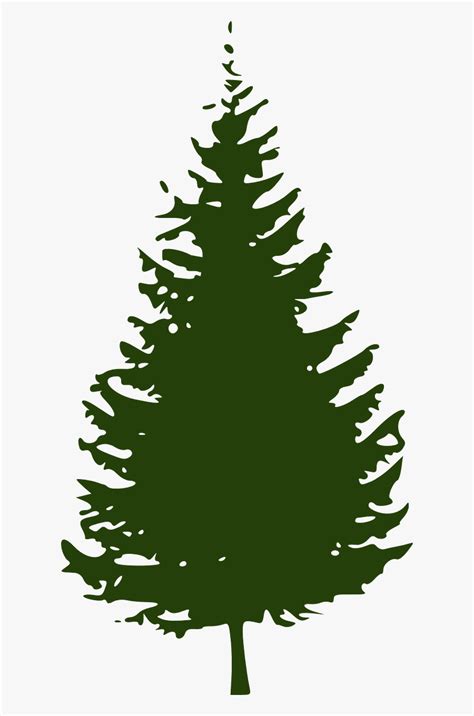 Evergreen Tree Clipart Free Transparent Clipart Clipartkey