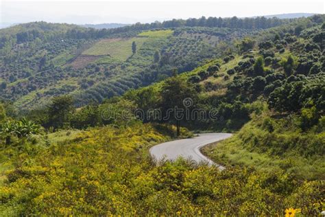 Mountian Road Stock Photo Image Of High Road Jandia 10012258
