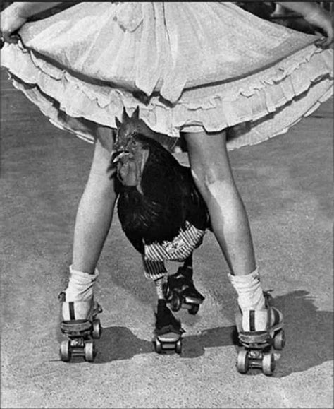 Pin By Kata Szentes On Vintage Roller Skates Vintage Roller Skaters