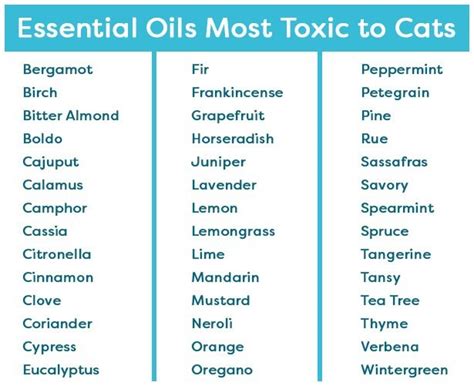 Cats are sensitive to essential oils for two reasons. Are Essential Oils Toxic to Cats? Find Out Which to Avoid ...
