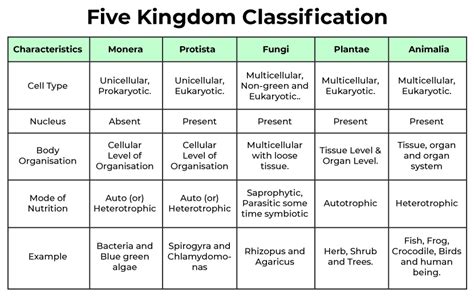 Five Kingdom Classification Flow Chart