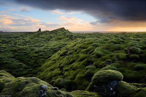 Eldhraun Lava Field Eldhraun Southern Iceland