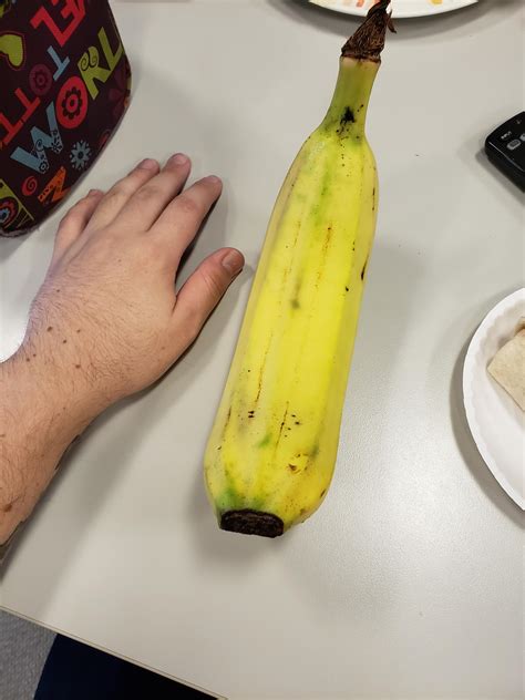 This Huge Banana I Found Today At Work Rmildlyinteresting