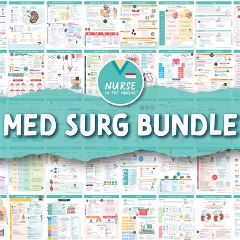 Med Surg Study Guide Bundle 200 Pages Digital Download Etsy