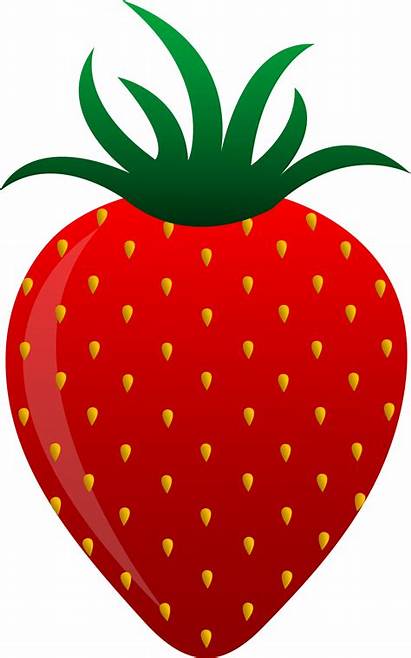 Strawberry Vector Clip Fruit Sweet Juicy Sweetclipart