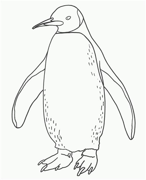 Free Printable Penguin Coloring Pages For Kids Penguin Coloring Pages