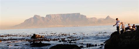 Western Cape Information Directory