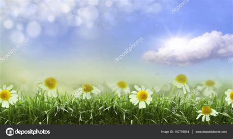 Natural Green Background Stock Photo By ©krivosheevv 152793514