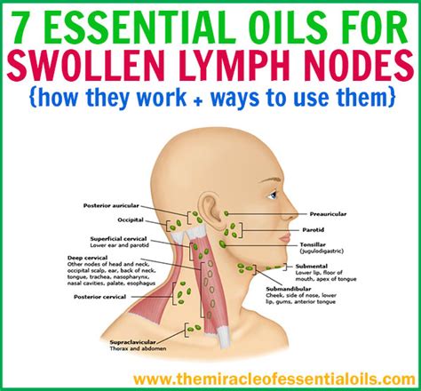 Swollen Lymph Node Behind Ear Doesnt Hurt