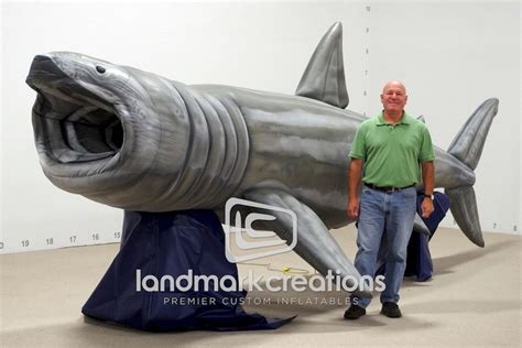 Inflatable Basking Shark Replica For Sisbro Studios