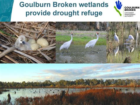lessons from australia s millennium drought ~ maven s notebook water news