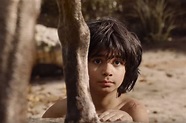 Tráiler de El Libro de la Selva: la vida llena de acción de Mowgli