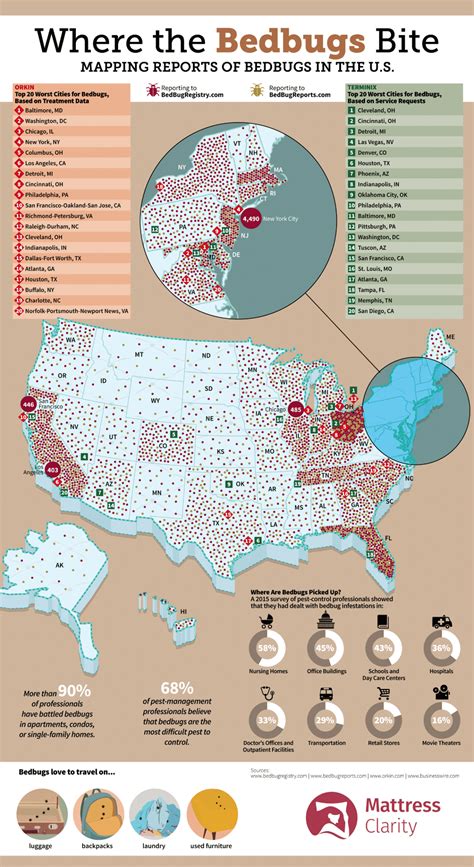 The Map Of Usa According To Bed Bugs Infographic