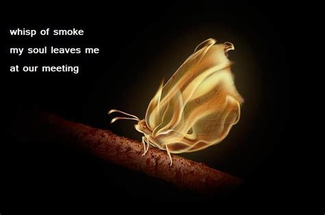 Like The Moth To The Flame Two Souls Sometimes Cannot Resist Each