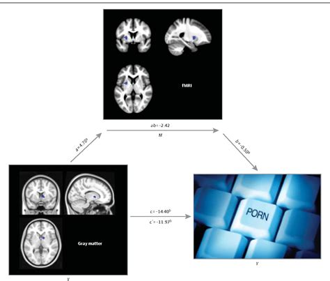 Pdf Brain Structure And Functional Connectivity Associated With