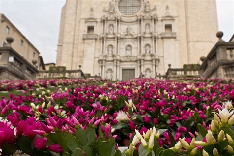 Girona Flower Festival Temps De Flors In Spain Dates And Map